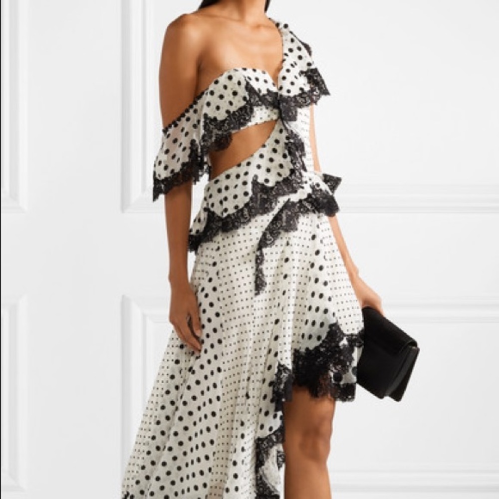 Zimmermann Rife Dally Lace Polka Dot Max Dress - Picture 5 of 9